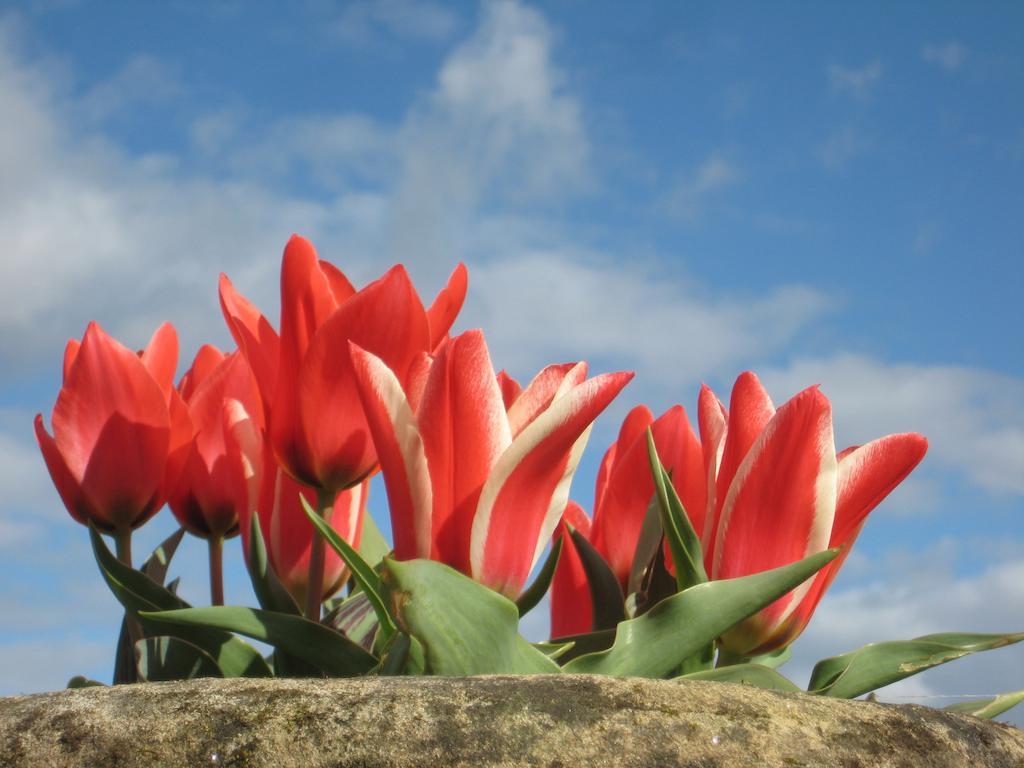 Gartmore House Bed & Breakfast 3*